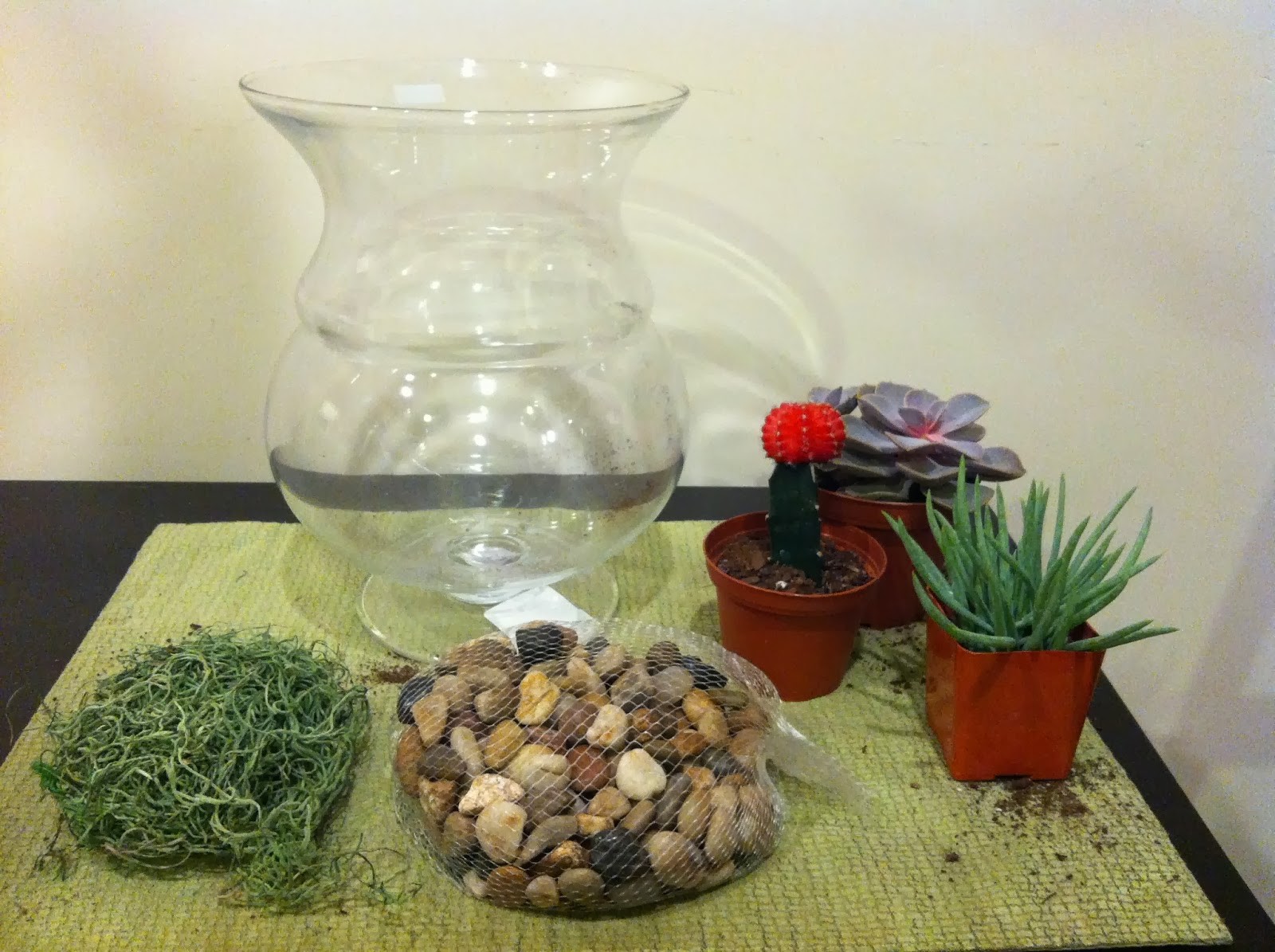 Evde terrarium yapımı Evde terrarium yapımı