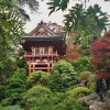 İlginç Japon Bahçesi Dizaynı