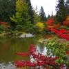 İlginç Japon Bahçesi Tasarımı