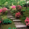 Modern Japon Bahçesi Tasarımı