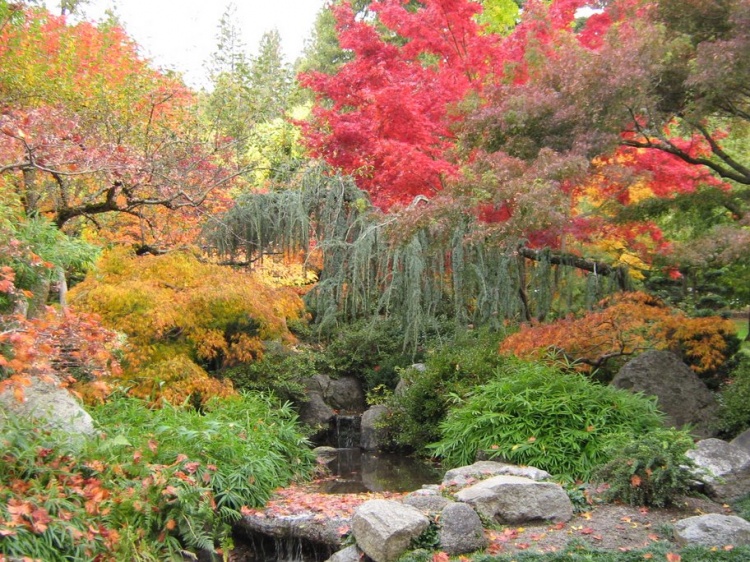 Renkli Japon Bahçesi Dizaynı