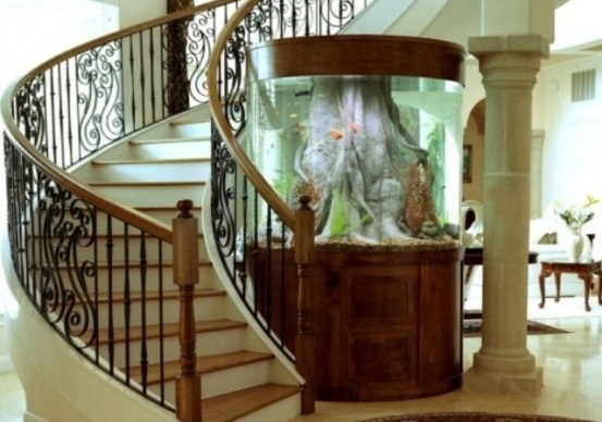 Merdiven kenarı akvaryum modeli